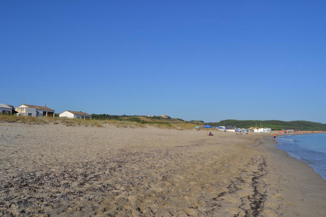 Miramare Struttura Sulla Spiaggia Platamona Eksteriør billede